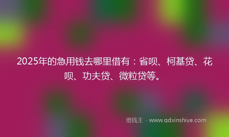 2025年的急用钱去哪里借有:省呗、柯基贷、花呗、功夫贷、微粒贷等。