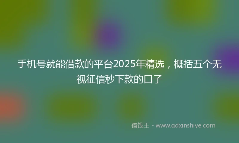 手机号就能借款的平台2025年精选，概括五个无视征信秒下款的口子