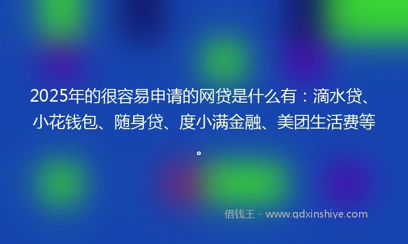 2025年的很容易申请的网贷是什么有：滴水贷、小花钱包、随身贷、度小满金融、美团生活费等。