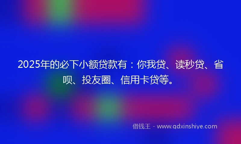 2025年的必下小额贷款有：你我贷、读秒贷、省呗、投友圈、信用卡贷等。