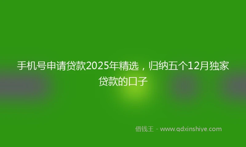 手机号申请贷款2025年精选，归纳五个12月独家贷款的口子