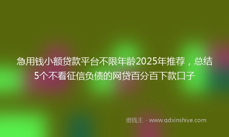 急用钱小额贷款平台不限年龄2025年推荐，总结5个不看征信负债的网贷百分百下款口子