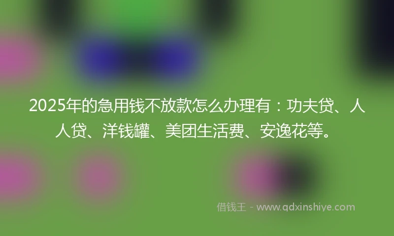 2025年的急用钱不放款怎么办理有：功夫贷、人人贷、洋钱罐、美团生活费、安逸花等。