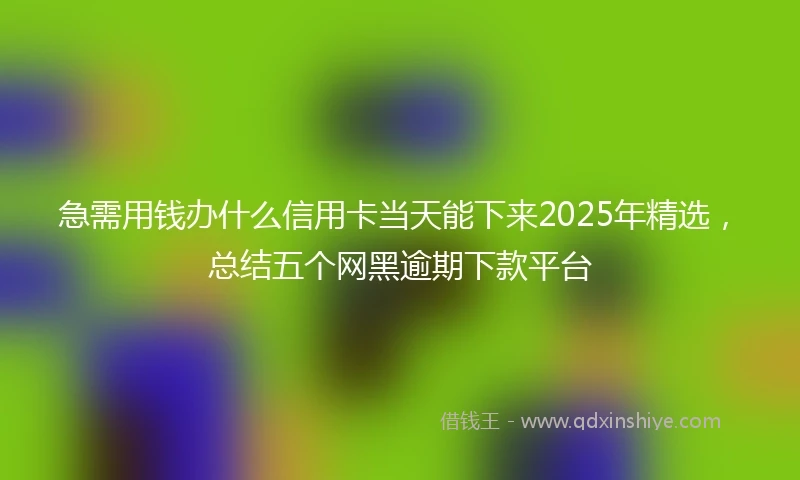 急需用钱办什么信用卡当天能下来2025年精选，总结五个网黑逾期下款平台