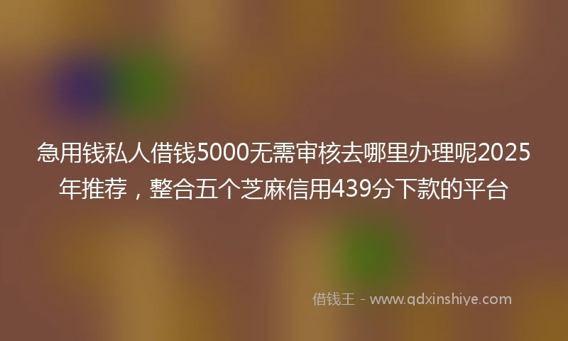 急用钱私人借钱5000无需审核去哪里办理呢2025年推荐，整合五个芝麻信用439分下款的平台