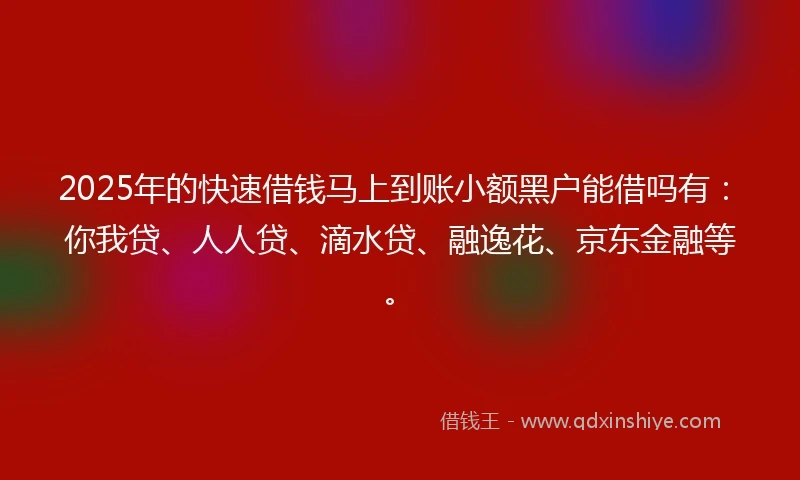2025年的快速借钱马上到账小额黑户能借吗有：你我贷、人人贷、滴水贷、融逸花、京东金融等。