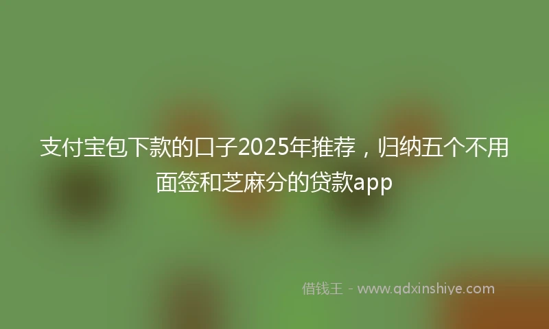 支付宝包下款的口子2025年推荐，归纳五个不用面签和芝麻分的贷款app