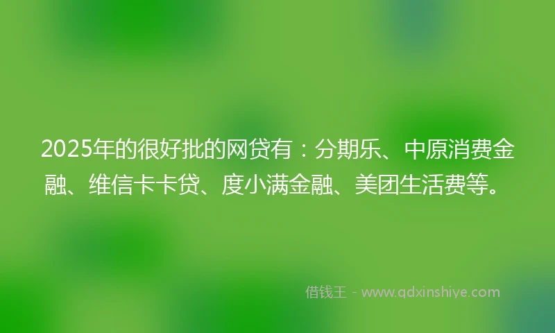 2025年的很好批的网贷有：分期乐、中原消费金融、维信卡卡贷、度小满金融、美团生活费等。