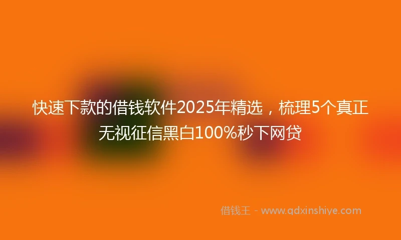 快速下款的借钱软件2025年精选，梳理5个真正无视征信黑白100%秒下网贷