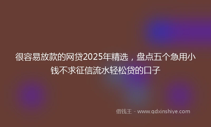 很容易放款的网贷2025年精选，盘点五个急用小钱不求征信流水轻松贷的口子