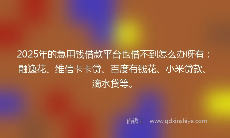 2025年的急用钱借款平台也借不到怎么办呀有：融逸花、维信卡卡贷、百度有钱花、小米贷款、滴水贷等。