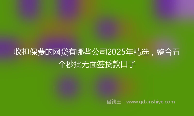 收担保费的网贷有哪些公司2025年精选，整合五个秒批无面签贷款口子