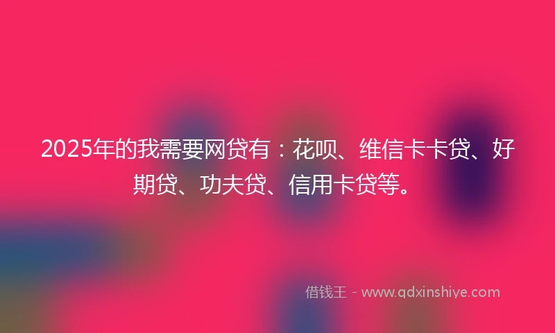 2025年的我需要网贷有：花呗、维信卡卡贷、好期贷、功夫贷、信用卡贷等。