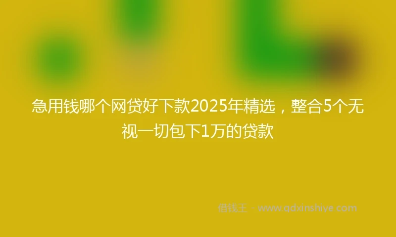 急用钱哪个网贷好下款2025年精选，整合5个无视一切包下1万的贷款