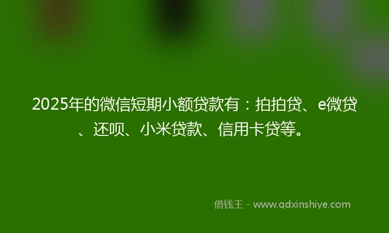 2025年的微信短期小额贷款有：拍拍贷、e微贷、还呗、小米贷款、信用卡贷等。