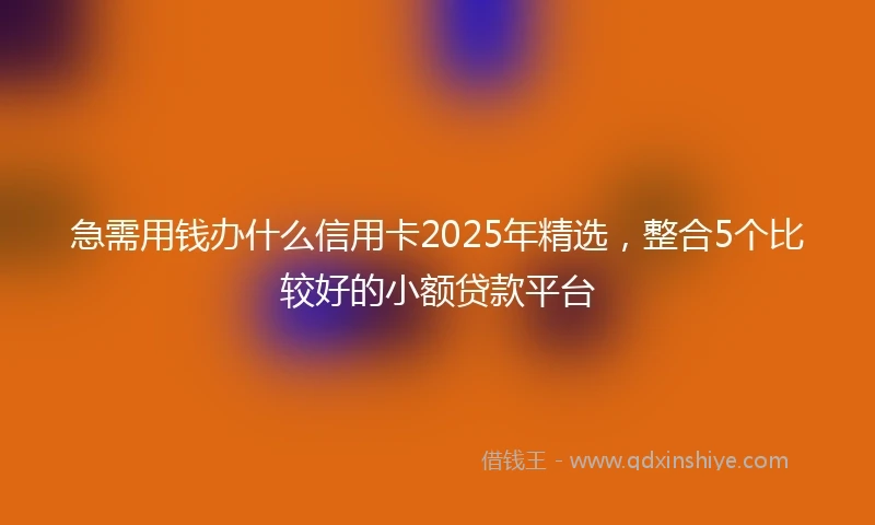 急需用钱办什么信用卡2025年精选，整合5个比较好的小额贷款平台