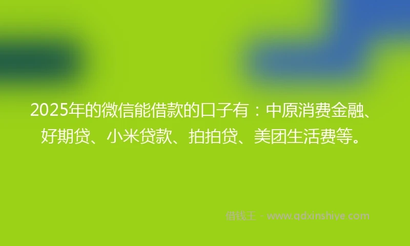 2025年的微信能借款的口子有：中原消费金融、好期贷、小米贷款、拍拍贷、美团生活费等。