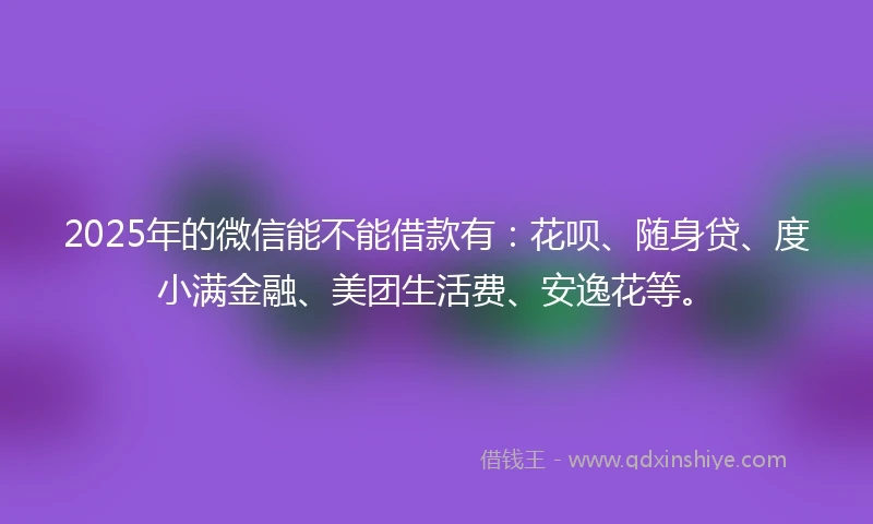 2025年的微信能不能借款有：花呗、随身贷、度小满金融、美团生活费、安逸花等。