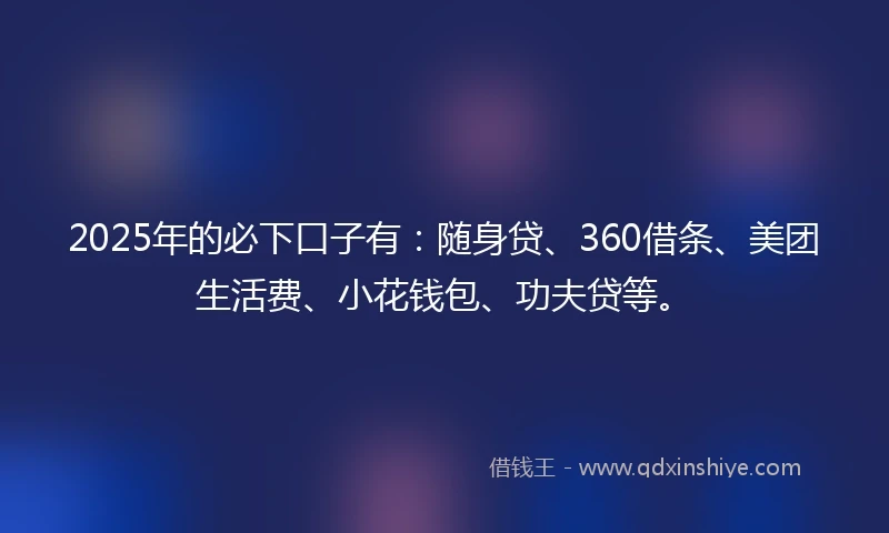 2025年的必下口子有：随身贷、360借条、美团生活费、小花钱包、功夫贷等。