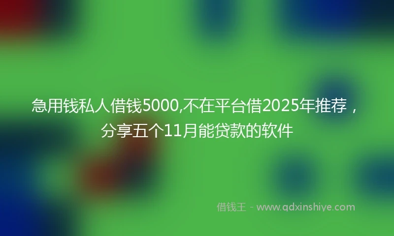 急用钱私人借钱5000,不在平台借2025年推荐，分享五个11月能贷款的软件