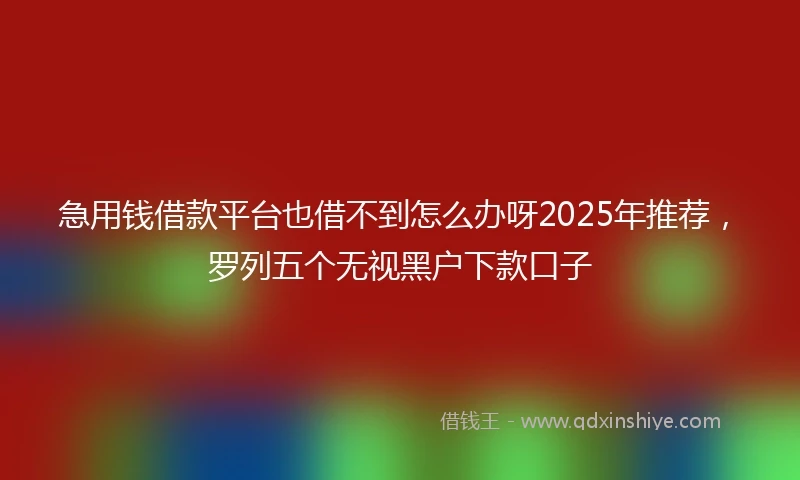 急用钱借款平台也借不到怎么办呀2025年推荐，罗列五个无视黑户下款口子