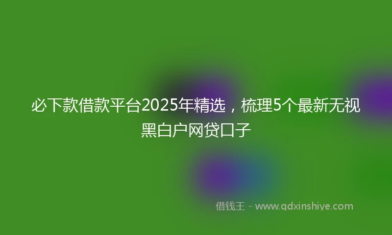 必下款借款平台2025年精选,梳理5个最新无视黑白户网贷口子