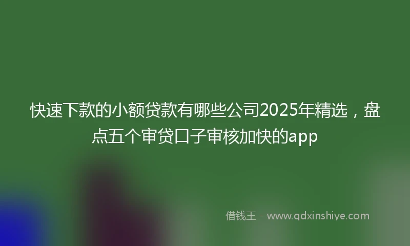 快速下款的小额贷款有哪些公司2025年精选，盘点五个审贷口子审核加快的app