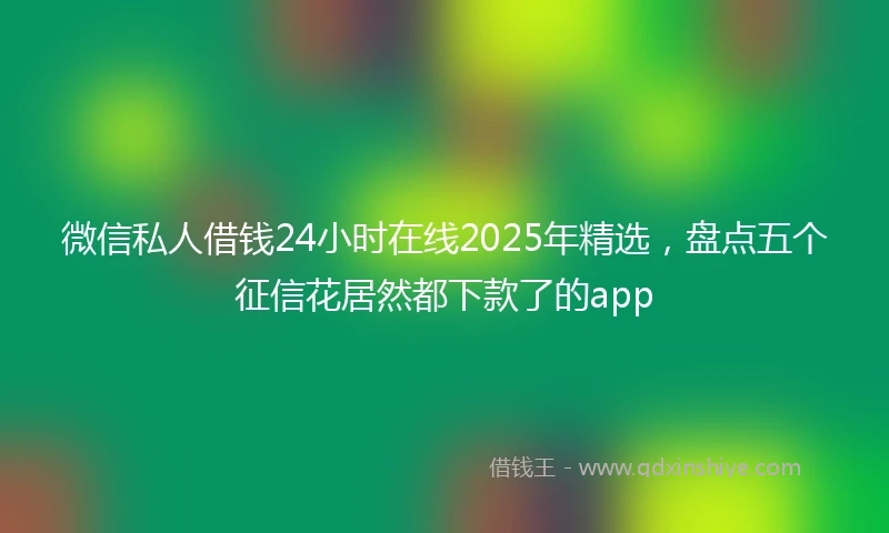 微信私人借钱24小时在线2025年精选，盘点五个征信花居然都下款了的app