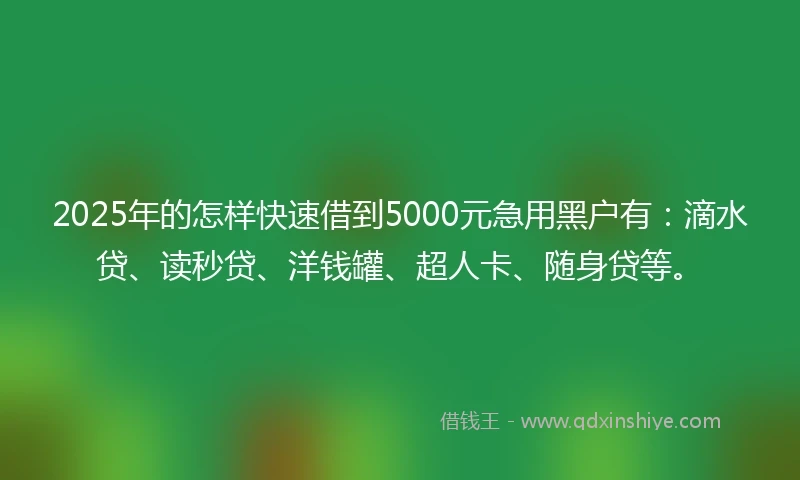 2025年的怎样快速借到5000元急用黑户有：滴水贷、读秒贷、洋钱罐、超人卡、随身贷等。