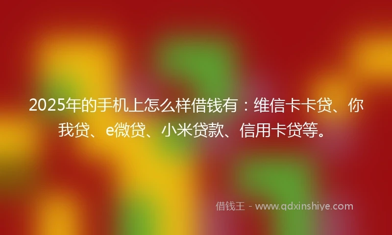 2025年的手机上怎么样借钱有：维信卡卡贷、你我贷、e微贷、小米贷款、信用卡贷等。