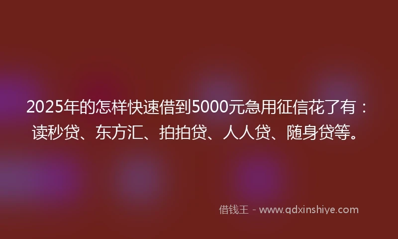 2025年的怎样快速借到5000元急用征信花了有：读秒贷、东方汇、拍拍贷、人人贷、随身贷等。
