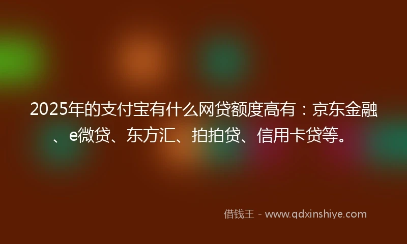 2025年的支付宝有什么网贷额度高有：京东金融、e微贷、东方汇、拍拍贷、信用卡贷等。