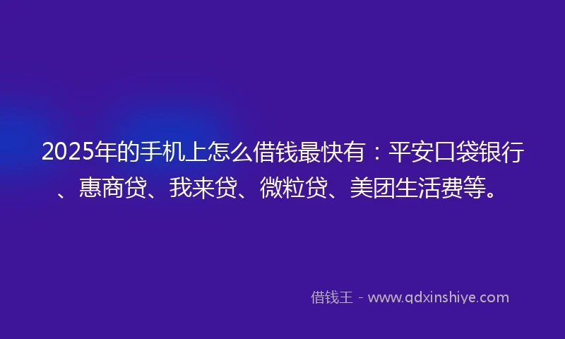 2025年的手机上怎么借钱最快有：平安口袋银行、惠商贷、我来贷、微粒贷、美团生活费等。