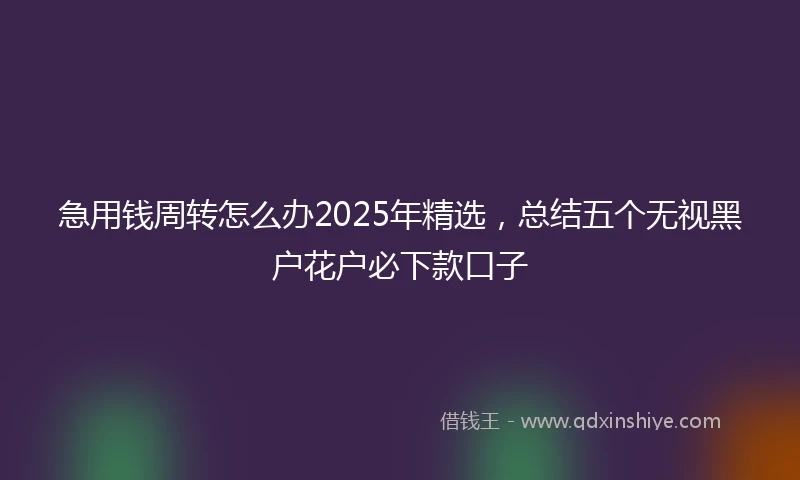 急用钱周转怎么办2025年精选，总结五个无视黑户花户必下款口子
