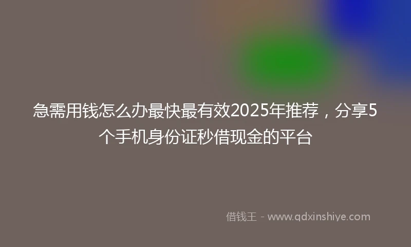 急需用钱怎么办最快最有效2025年推荐，分享5个手机身份证秒借现金的平台