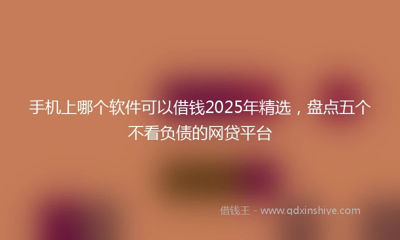 手机上哪个软件可以借钱2025年精选，盘点五个不看负债的网贷平台