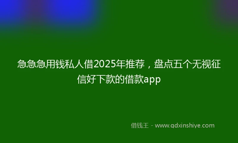 急急急用钱私人借2025年推荐，盘点五个无视征信好下款的借款app