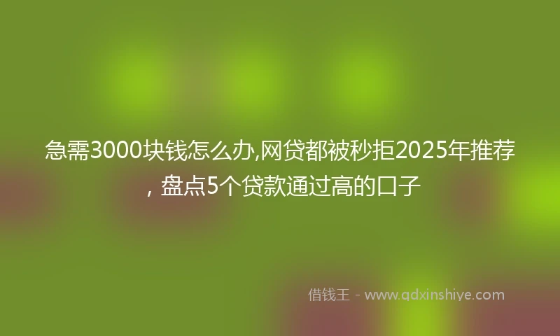 急需3000块钱怎么办,网贷都被秒拒2025年推荐，盘点5个贷款通过高的口子