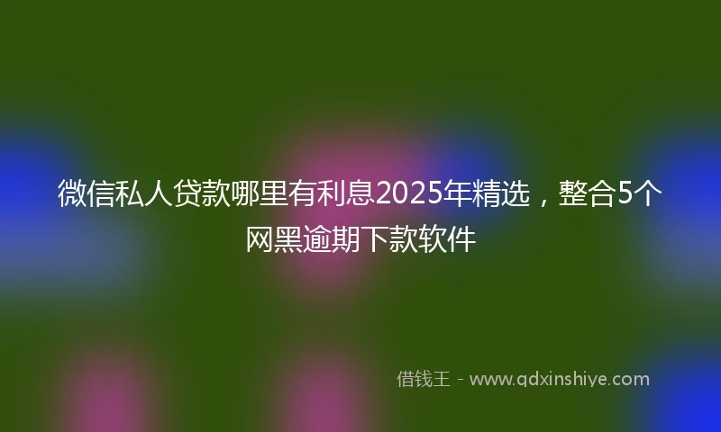 微信私人贷款哪里有利息2025年精选，整合5个网黑逾期下款软件