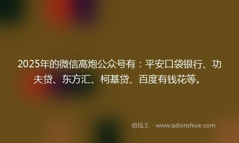 2025年的微信高炮公众号有：平安口袋银行、功夫贷、东方汇、柯基贷、百度有钱花等。