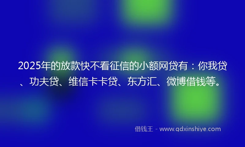 2025年的放款快不看征信的小额网贷有：你我贷、功夫贷、维信卡卡贷、东方汇、微博借钱等。