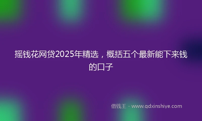 摇钱花网贷2025年精选，概括五个最新能下来钱的口子
