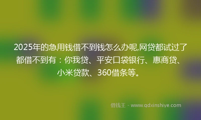 2025年的急用钱借不到钱怎么办呢,网贷都试过了都借不到有：你我贷、平安口袋银行、惠商贷、小米贷款、360借条等。