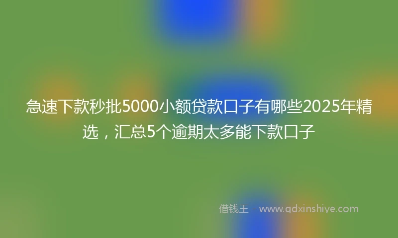 急速下款秒批5000小额贷款口子有哪些2025年精选，汇总5个逾期太多能下款口子