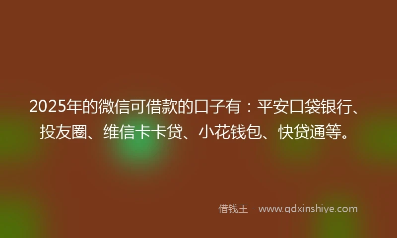 2025年的微信可借款的口子有：平安口袋银行、投友圈、维信卡卡贷、小花钱包、快贷通等。