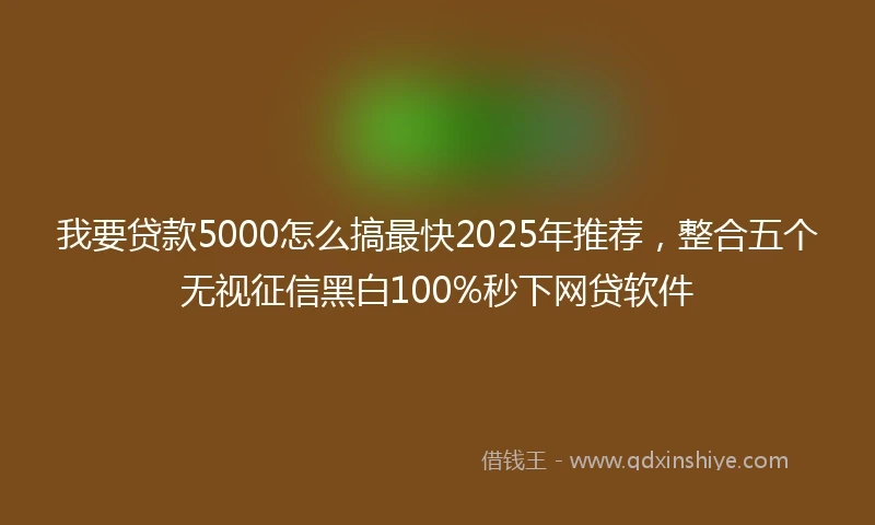 我要贷款5000怎么搞最快2025年推荐，整合五个无视征信黑白100%秒下网贷软件