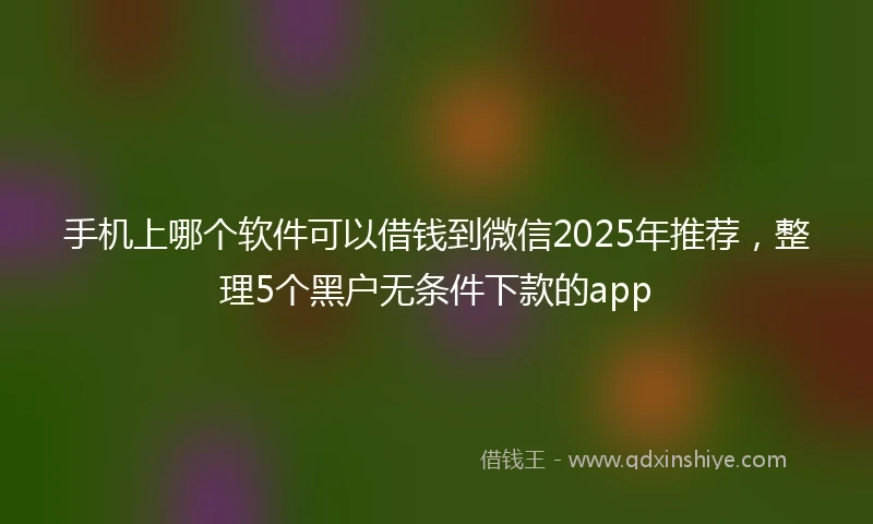 手机上哪个软件可以借钱到微信2025年推荐，整理5个黑户无条件下款的app