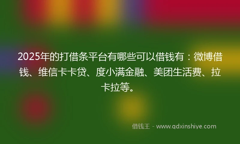 2025年的打借条平台有哪些可以借钱有：微博借钱、维信卡卡贷、度小满金融、美团生活费、拉卡拉等。