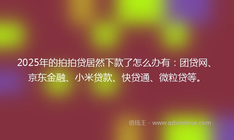 2025年的拍拍贷居然下款了怎么办有：团贷网、京东金融、小米贷款、快贷通、微粒贷等。