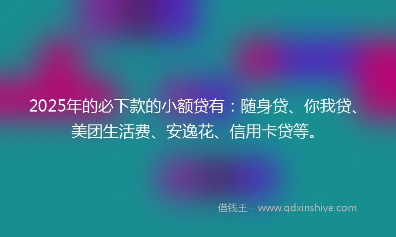 2025年的必下款的小额贷有：随身贷、你我贷、美团生活费、安逸花、信用卡贷等。